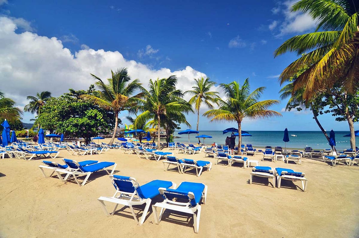 Tweet from Derrick60Df